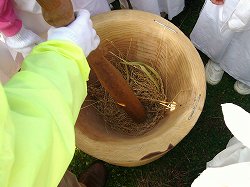 弥生人になって･･･3（脱穀しましょう）