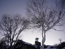 越年スキーＩＮはくのり10（帰宅）