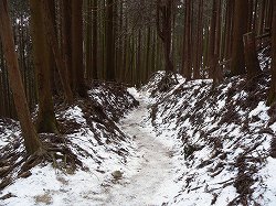 冬の金剛山・郵便道（2）