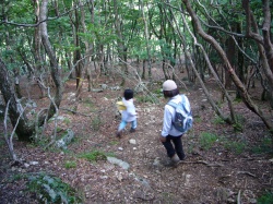 水無山・国見山　３