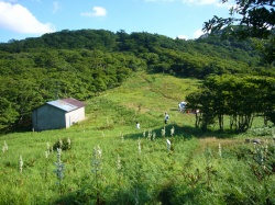 水無山・国見山　３