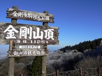 緊急報告！！　金剛山（弐）