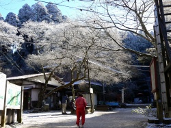 緊急報告！！　金剛山（弐）