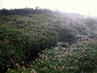 北アルプス南部縦走のはずが・・・Ⅹ