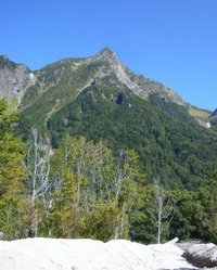 上高地周遊：小梨平付近　４巻 2010/04/06 06:30:00