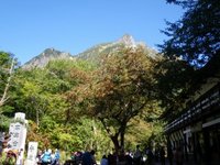 上高地周遊：明神橋付近　5巻 2010/04/11 06:30:00