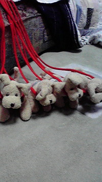 四人家族…U^ェ^U 2010/01/25 17:58:41