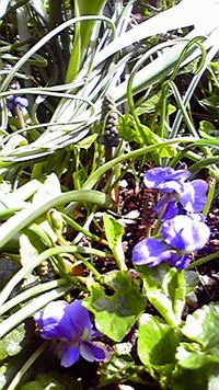 いいお天気♪ 2010/03/14 10:30:19