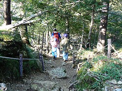 大台ヶ原・6 東大台コース（大蛇ぐら）