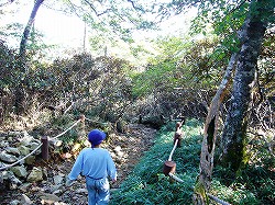 大台ヶ原・7 東大台コース（朝ご飯）