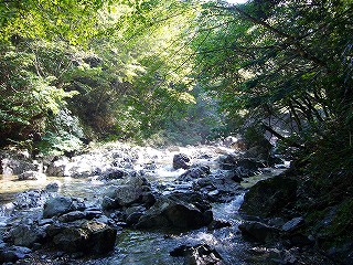 大台ヶ原・7 東大台コース（朝ご飯）