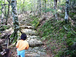 大台ヶ原・8 東大台コース（ゴール）