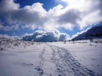 霧ヶ峰スノーハイク３（蝶々深山）