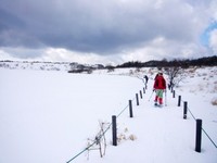 霧ヶ峰スノーハイク４（八島ヶ原湿原）