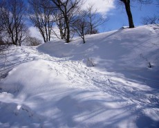 霧ヶ峰スノーハイク６（苦しい登り）