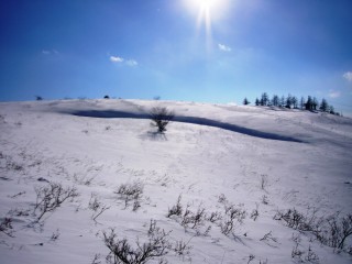 霧ヶ峰スノーハイク６（苦しい登り）