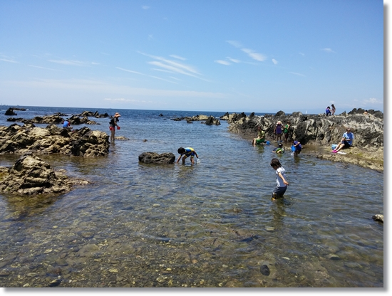 夏始めました