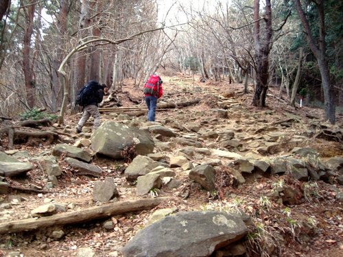塔ノ岳世界チャンピオン
