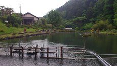 浅川国際鱒釣場でミノーの達人と雨に打たれる（2022/5/21）