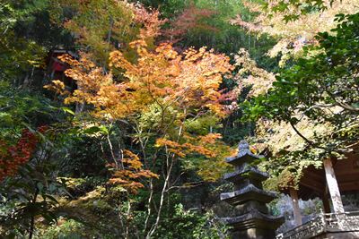 三滝寺