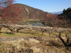 今年のネタ　其の参