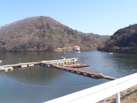 自作穂先でいい感じ＾＾ 2015/02/12 13:13:06