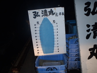 カットウフグは面白い 2015/06/07 22:09:47