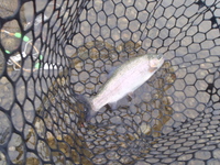 鬼怒川ＦＡ 2014/10/03 07:48:36