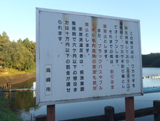 シーズンイン