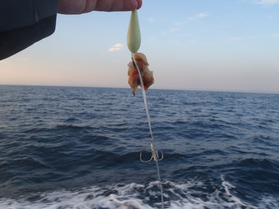 究極の掛ける釣り