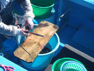 究極の掛ける釣り