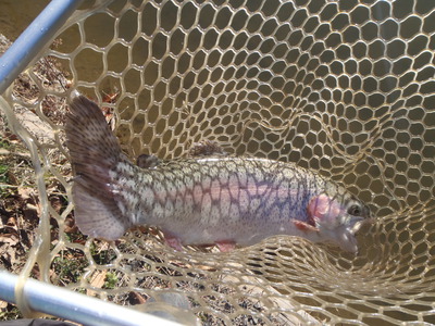 2015年　釣り納め