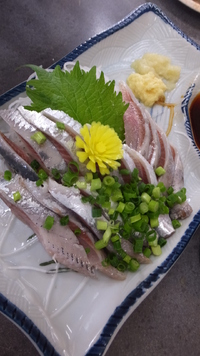 鰯と蕾 2014/07/11 23:03:46
