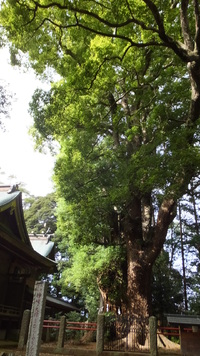 雑記 2014/10/04 16:50:59