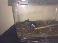 驚き 2013/12/05 19:11:46