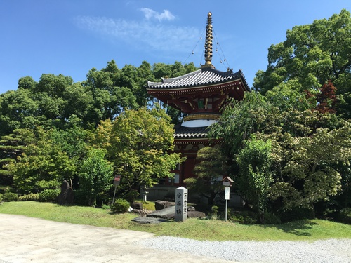 第六番札所安楽寺へランニング