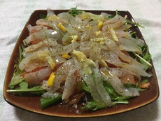 この間釣ったヒラメをカルパッチョにしてみた