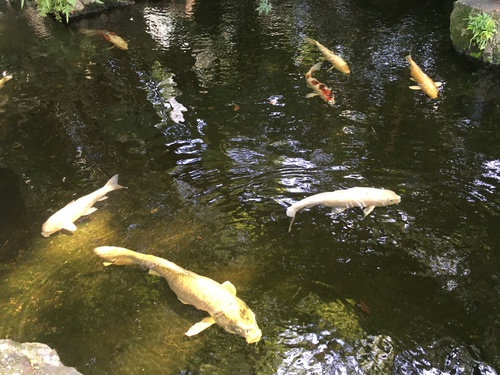 第六番札所安楽寺へランニング