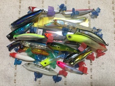 初夏の準備は出来てます！ 2019/01/16 22:03:12