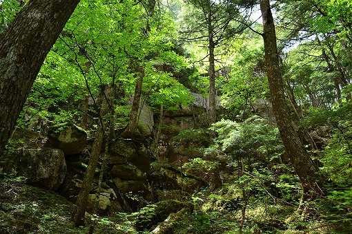 「みずがき山自然公園キャンプ場」2016/06/04～05