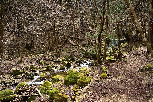 「三峰山～辺室山（後半）」2017/04/02