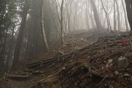 「鍋割山」2017/04/08