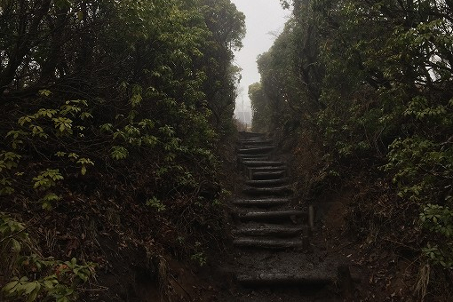 「鍋割山」2017/04/08