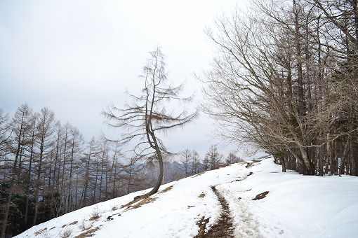 「雲取山」2019/3/16～17