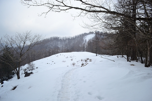 「雲取山」2019/3/16～17