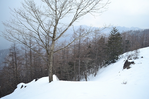 「雲取山」2019/3/16～17