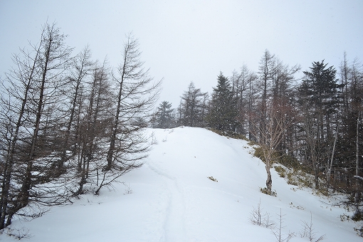 「雲取山」2019/3/16～17