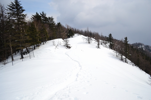 「雲取山」2019/3/16～17