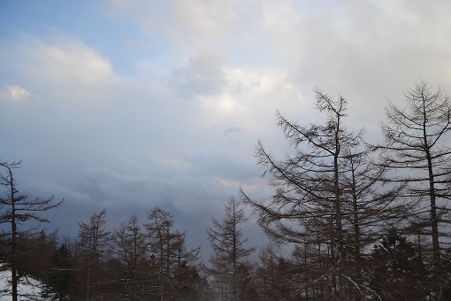 「雲取山」2019/3/16～17