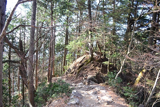 「雲取山」2019/3/16～17